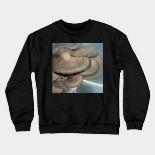 Oyster Mushroom Cluster #2 Crewneck Sweatshirt